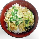 ネギたっぷり親子丼